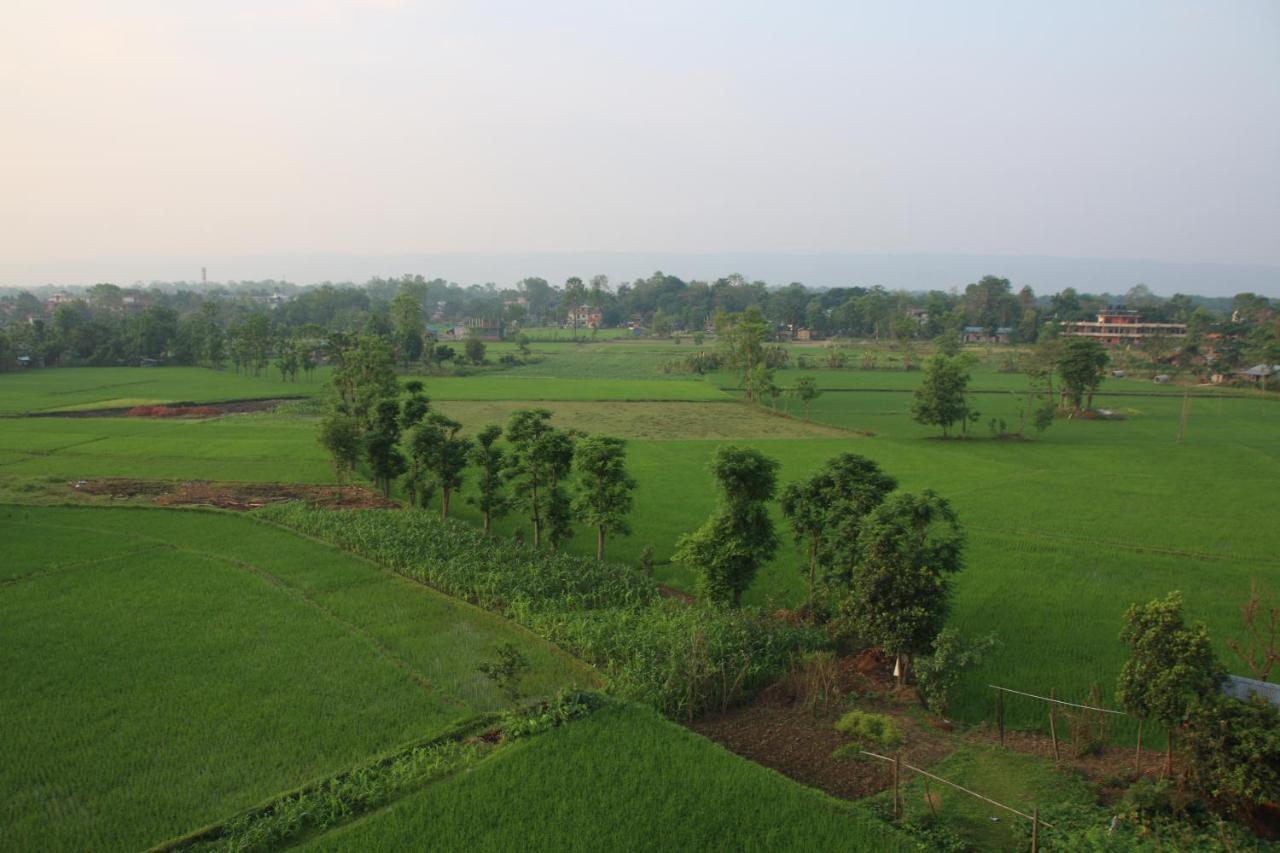 Sweet Home Chitwan Ngoại thất bức ảnh